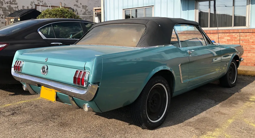 The source photo of the Mustang