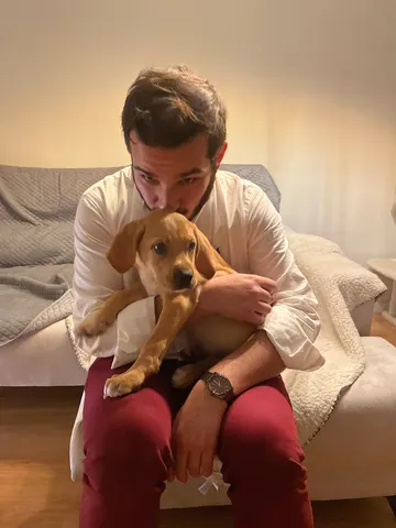 Phone photo of the same man holding the puppy